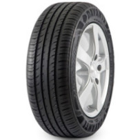 DAVANTI 205/55R16 94V XL DX390 CON PROTECCION DE LLANTA TECNOLOGIA INGLESA